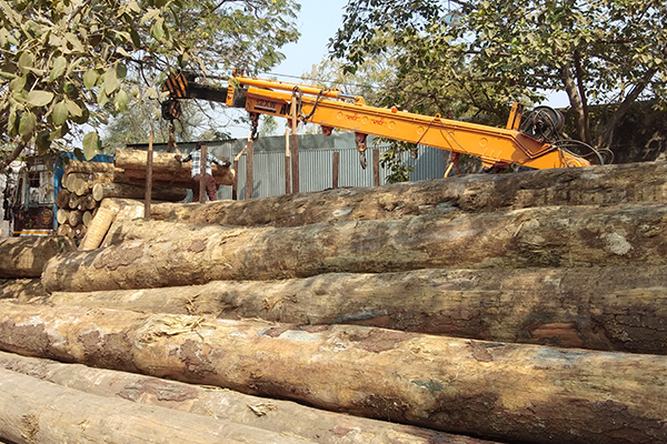 Pine round Logs2 Manufacturer
